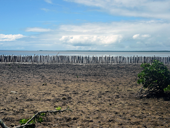 Havet stiger. Stokkene markerer hvor sjøkanten pleide å være. I dag går den mye høyere opp. Foto: Sven Gj. Gjeruldsen, Det kongelige hoff
